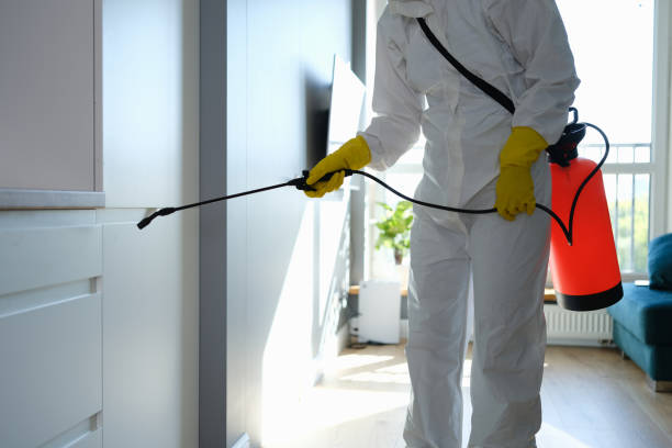 Why You Should Choose Our Mold Remediation Services in Altoona, WI